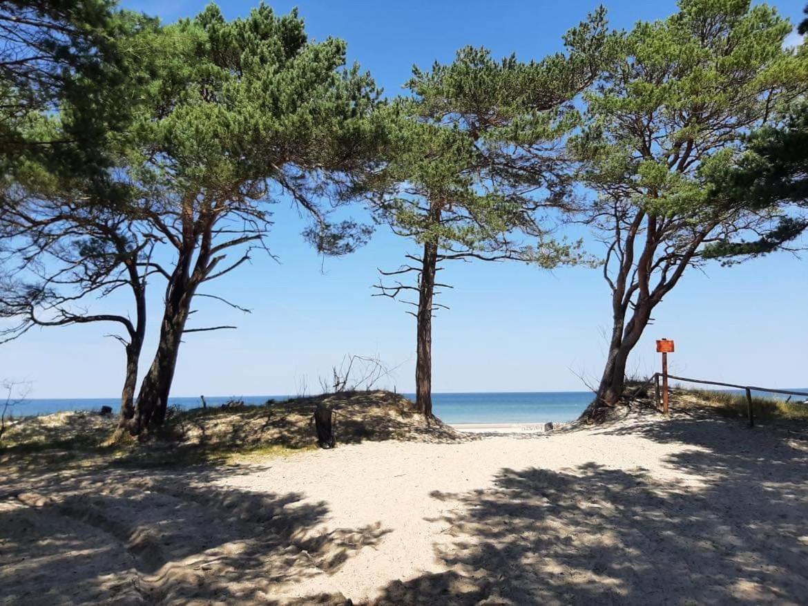 Norbea Διαμέρισμα Sasino Εξωτερικό φωτογραφία